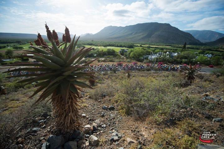 10943721_975551945819581_9008925288018094169_n