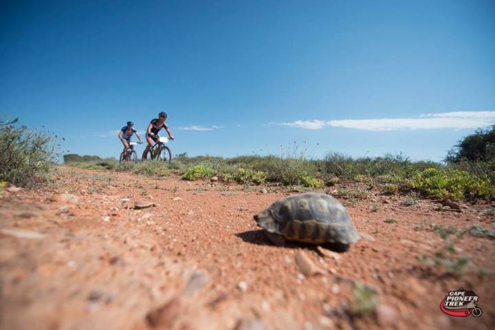 11223651_975962462445196_1826377767514222894_n